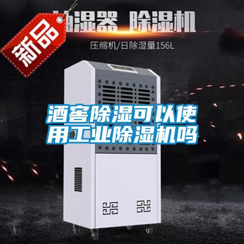 酒窖除湿可以使用工业91抖音免费看片吗