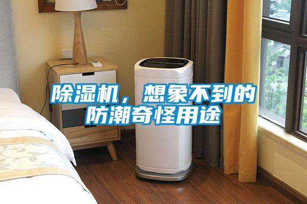 91抖音免费看片，想象不到的防潮奇怪用途