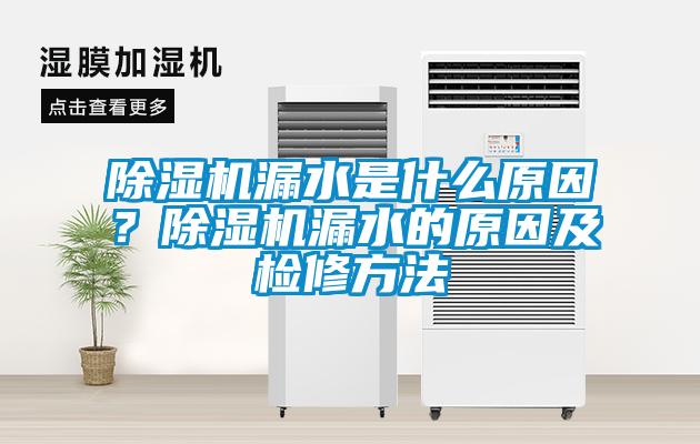 91抖音免费看片漏水是什么原因？91抖音免费看片漏水的原因及检修方法