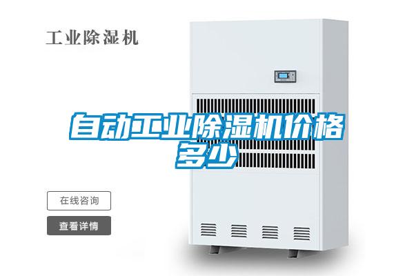 自动工业91抖音免费看片价格多少