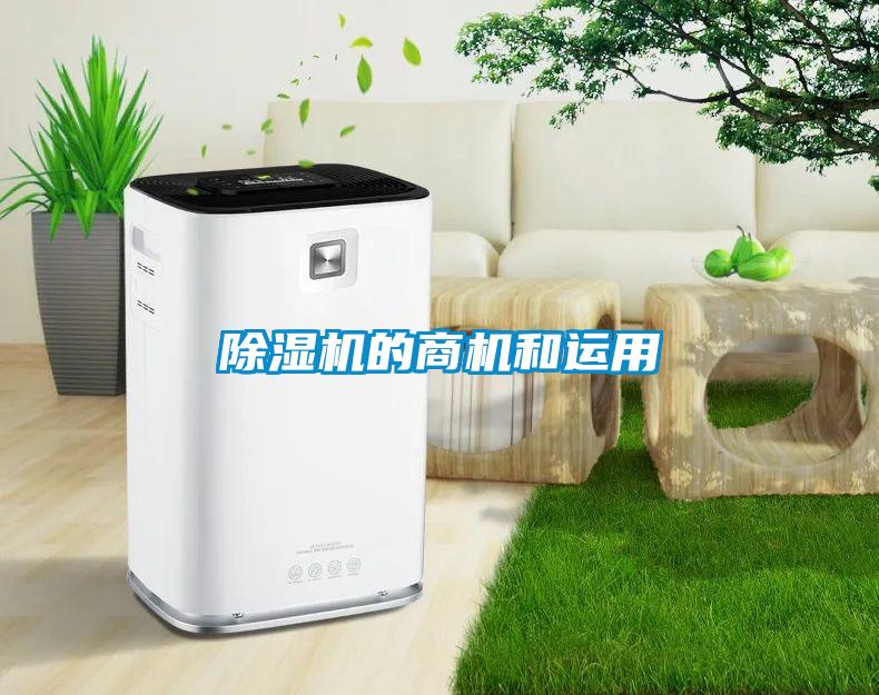 91抖音免费看片的商机和运用