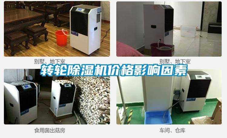 转轮91抖音免费看片价格影响因素