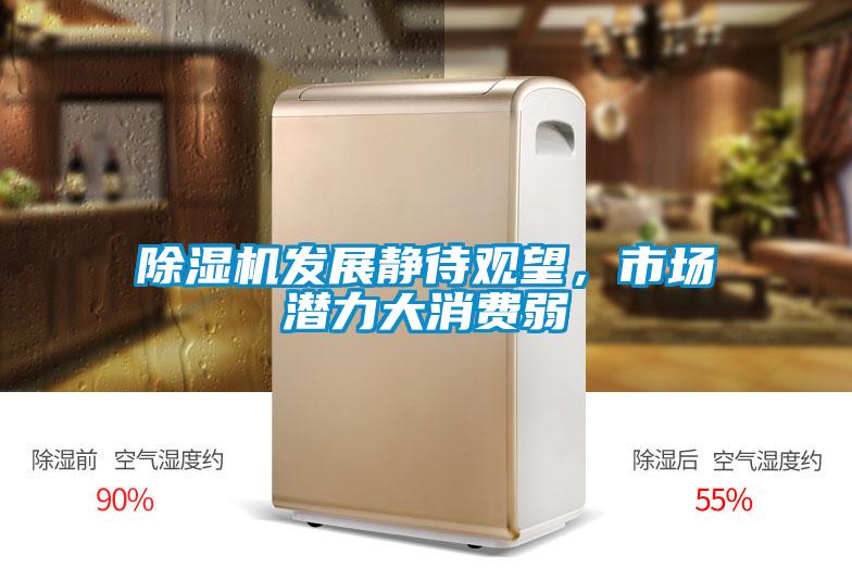 91抖音免费看片发展静待观望，市场潜力大消费弱