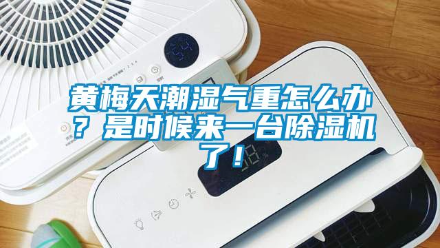 黄梅天潮湿气重怎么办？是时候来一台91抖音免费看片了！