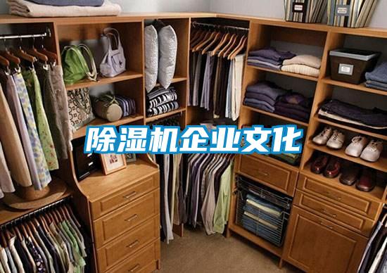 91抖音免费看片企业文化