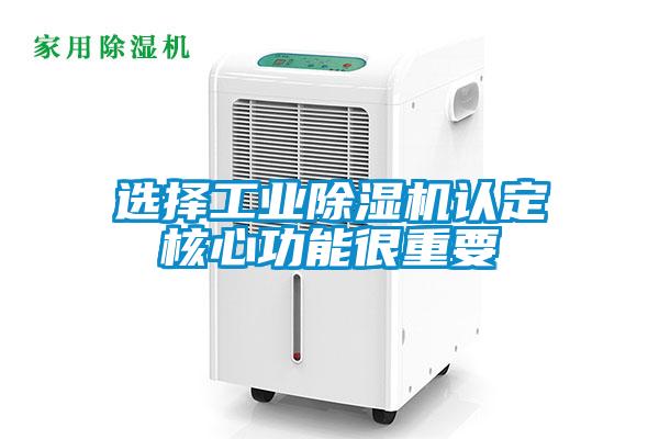 选择工业91抖音免费看片认定核心功能很重要