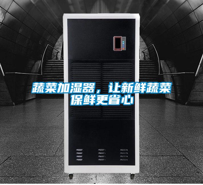 蔬菜加湿器，让新鲜蔬菜保鲜更省心