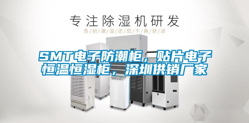SMT电子防潮柜，贴片电子恒温恒湿柜，深圳供销厂家