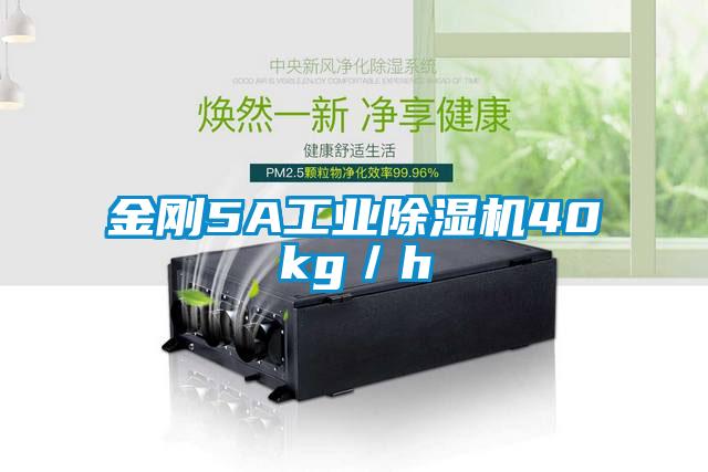 金刚5A工业91抖音免费看片40kg／h