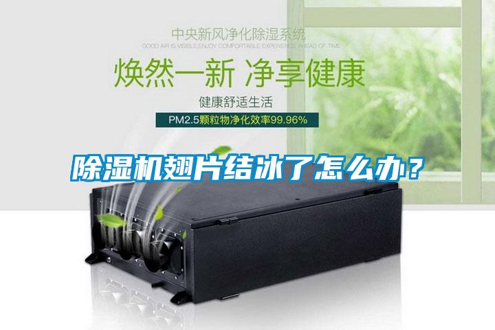 91抖音免费看片翅片结冰了怎么办？