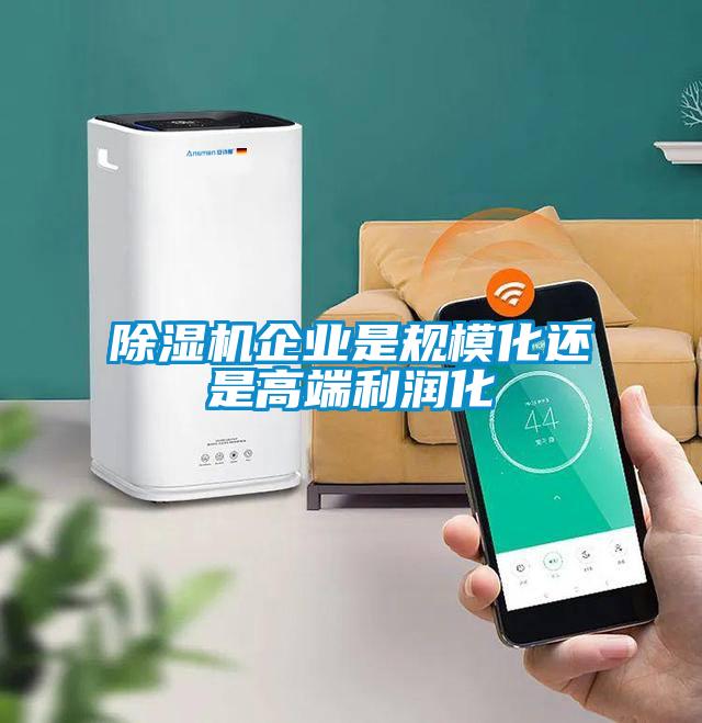 91抖音免费看片企业是规模化还是高端利润化
