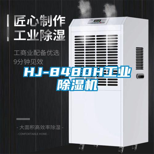 HJ-8480H工业91抖音免费看片