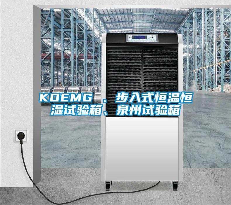 KOEMG 、步入式恒温恒湿试验箱、泉州试验箱