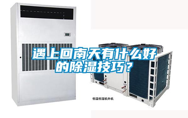 遇上回南天有什么好的除湿技巧？