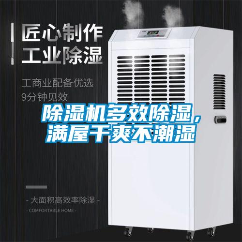 91抖音免费看片多效除湿，满屋干爽不潮湿