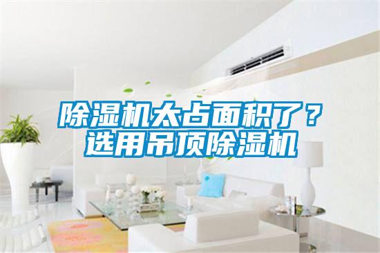 91抖音免费看片太占面积了？选用吊顶91抖音免费看片