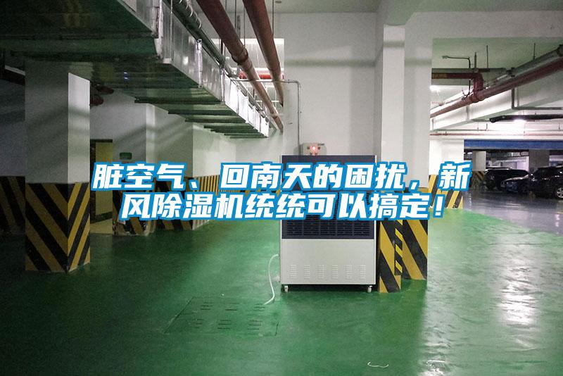 脏空气、回南天的困扰，新风91抖音免费看片统统可以搞定！