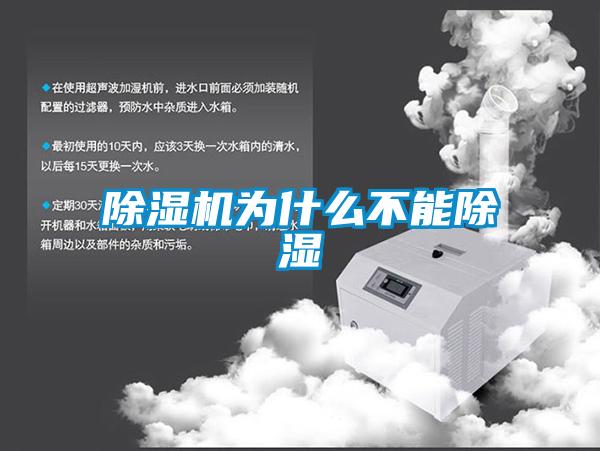 91抖音免费看片为什么不能除湿
