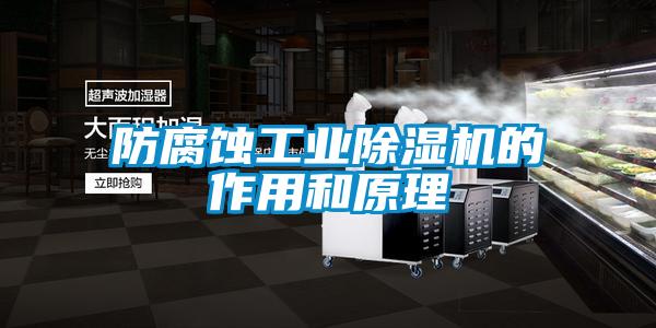 防腐蚀工业91抖音免费看片的作用和原理
