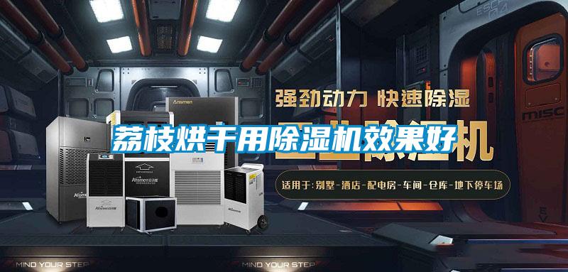 荔枝烘干用91抖音免费看片效果好