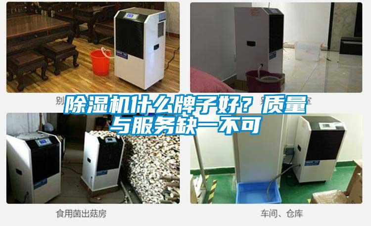 91抖音免费看片什么牌子好？质量与服务缺一不可