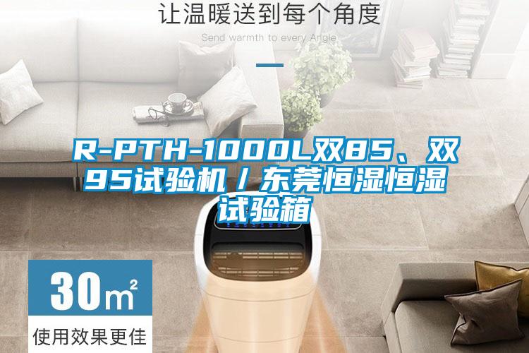 R-PTH-1000L双85、双95试验机／东莞恒湿恒湿试验箱