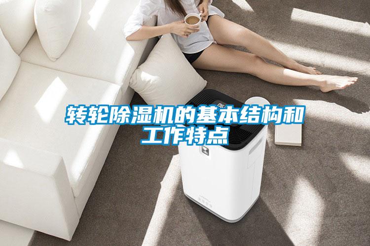转轮91抖音免费看片的基本结构和工作特点