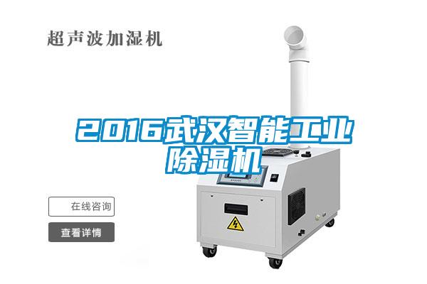 2016武汉智能工业91抖音免费看片