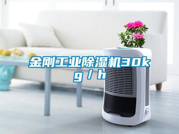 金刚工业91抖音免费看片30kg／h