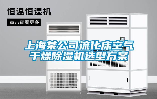 上海某公司流化床空气干燥91抖音免费看片选型方案