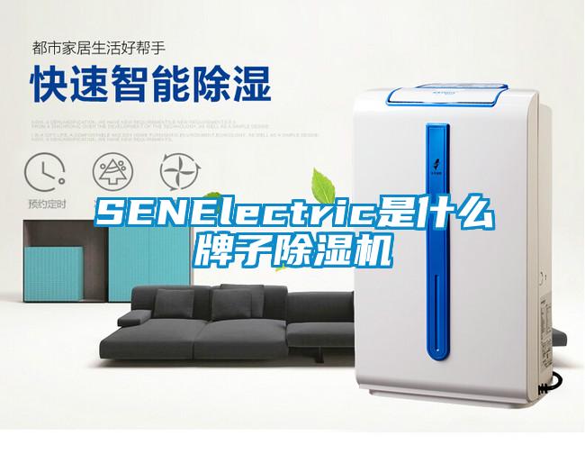 SENElectric是什么牌子91抖音免费看片
