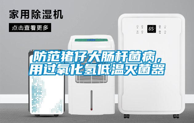 防范猪仔大肠杆菌病，用过氧化氢低温灭菌器