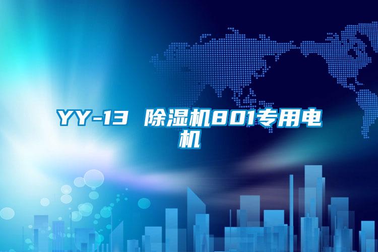YY-13 91抖音免费看片801专用电机