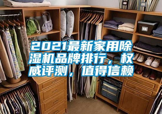2021最新家用91抖音免费看片品牌排行，权威评测，值得信赖