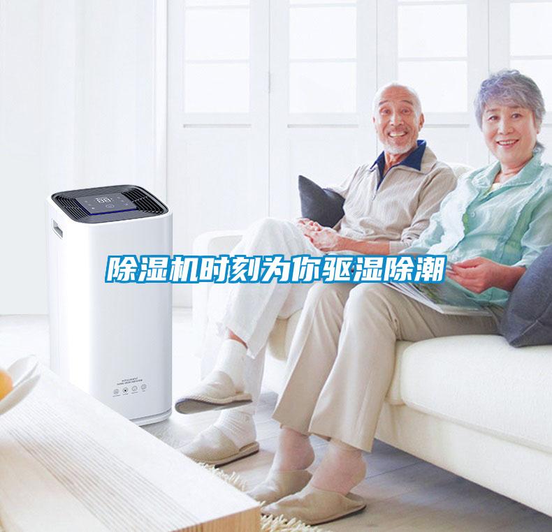 91抖音免费看片时刻为你驱湿除潮