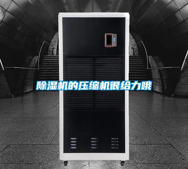 91抖音免费看片的压缩机很给力哦