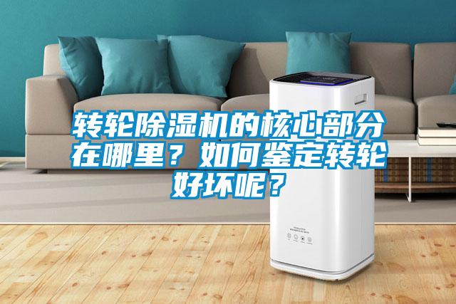 转轮91抖音免费看片的核心部分在哪里？如何鉴定转轮好坏呢？