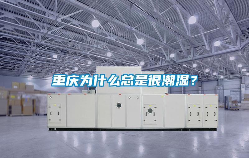 重庆为什么总是很潮湿？