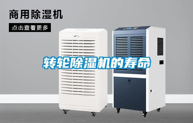 转轮91抖音免费看片的寿命