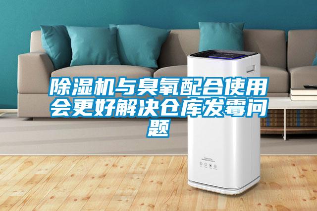 91抖音免费看片与臭氧配合使用会更好解决仓库发霉问题