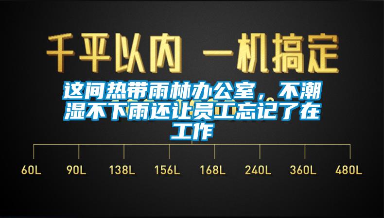 这间热带雨林办公室，不潮湿不下雨还让员工忘记了在工作