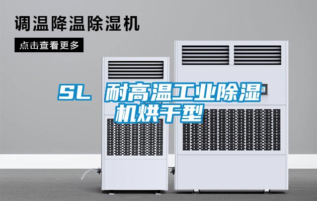 SL 耐高温工业91抖音免费看片烘干型