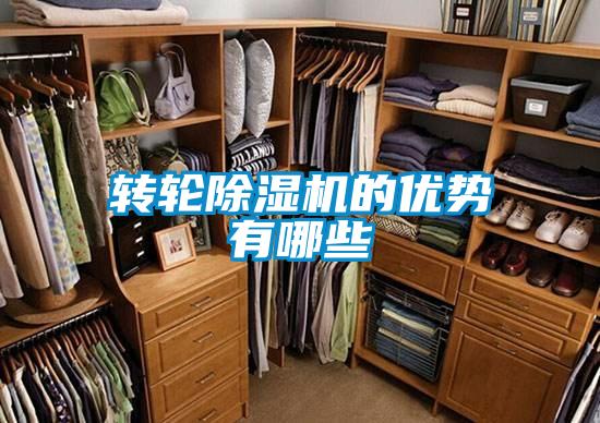 转轮91抖音免费看片的优势有哪些