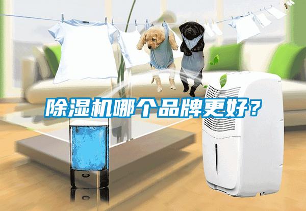91抖音免费看片哪个品牌更好？