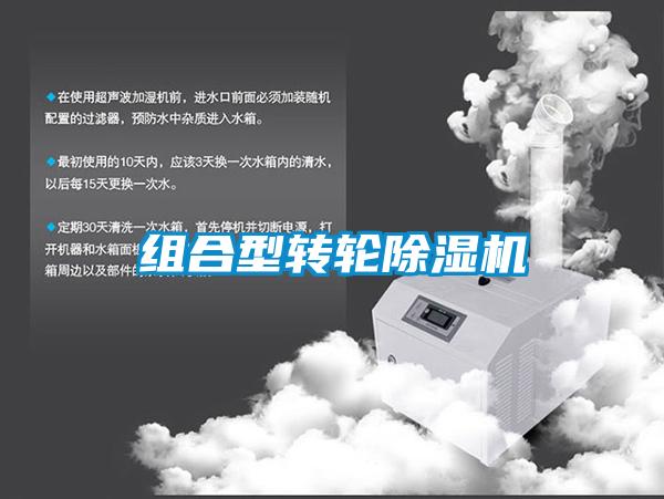 组合型转轮91抖音免费看片