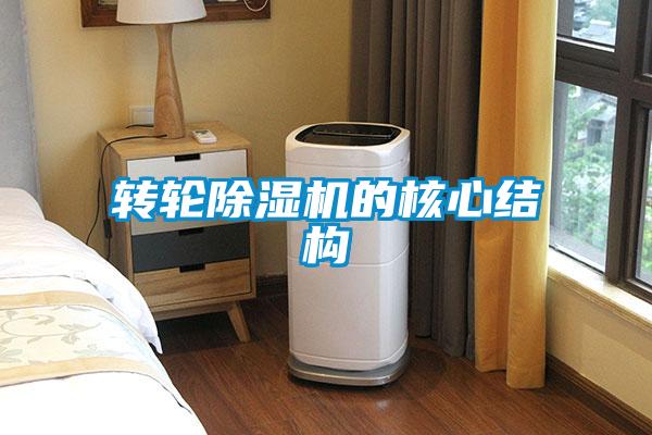转轮91抖音免费看片的核心结构