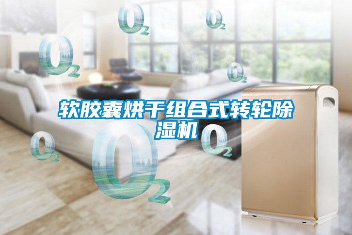 软胶囊烘干组合式转轮91抖音免费看片