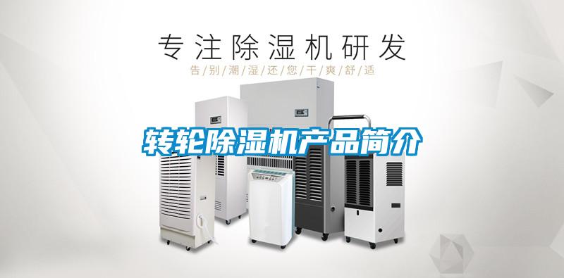 转轮91抖音免费看片产品简介