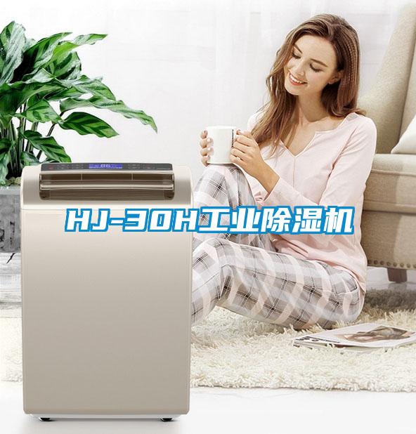 HJ-30H工业91抖音免费看片