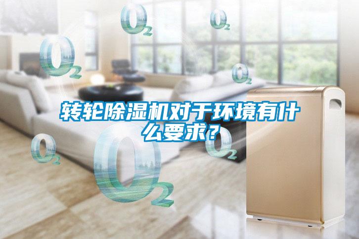 转轮91抖音免费看片对于环境有什么要求？